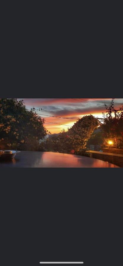 Giasemi Apartments Karystos  Bagian luar foto